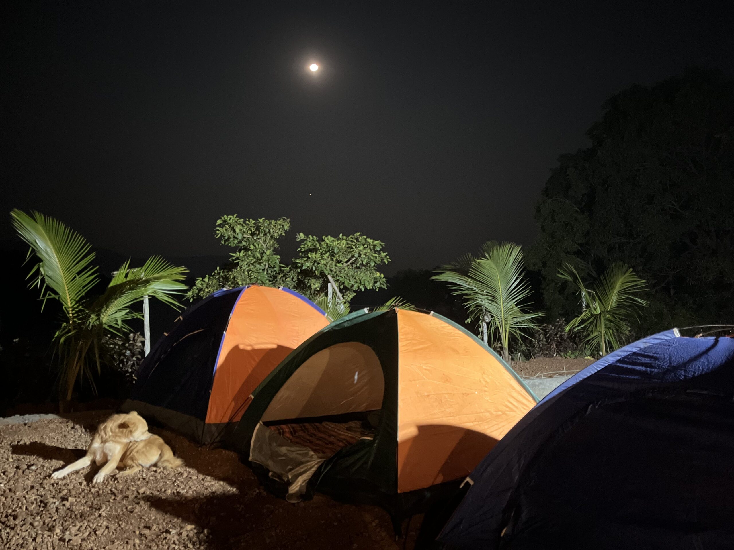 Camping Under the Stars: Overnight Trekking Adventures in Maharashtra