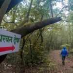 Andharban Dark Forest Jungle Trek