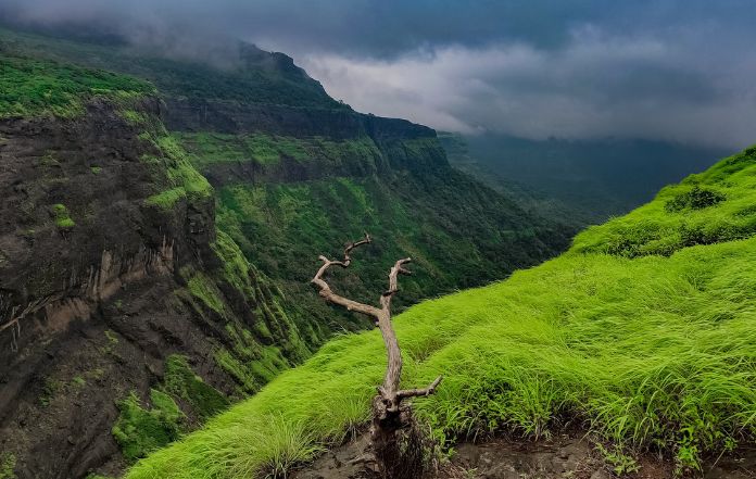 Aadrai Jungle Trek